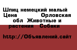 Шпиц немецкий малый › Цена ­ 16 000 - Орловская обл. Животные и растения » Собаки   